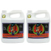 Fertilizant PH Perfect Connoisseur Bloom A&amp;B 500ml set de 2 piese Advanced Nutrients