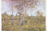 bnk cp Constanta - Muzeul de arta - Grigorescu - Vara - necirculata