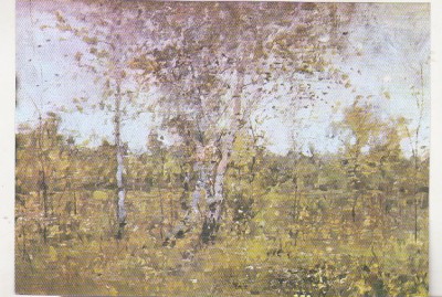bnk cp Constanta - Muzeul de arta - Grigorescu - Vara - necirculata foto