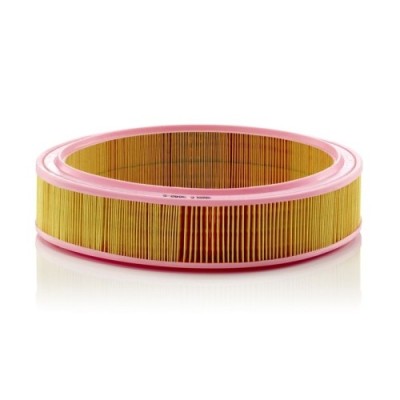 Filtru aer Mann-Filter C30825 foto