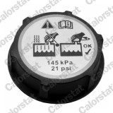 CALORSTAT by Vernet RC0150 buson,vas expansiune