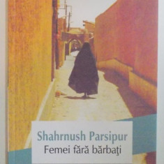 FEMEIA FARA BARBATI de SHARNUSH PARSIPUR , 2014