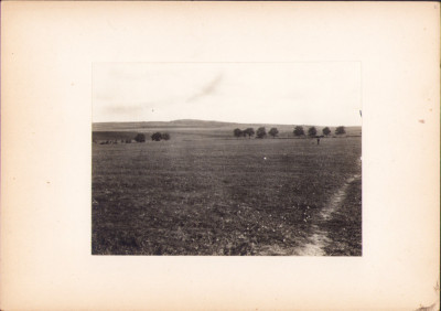 HST G111N Vedere spre Dealul Silagiului Buziaș 1921 fotografie de George V&amp;acirc;lsan foto