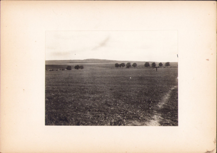 HST G111N Vedere spre Dealul Silagiului Buziaș 1921 fotografie de George V&acirc;lsan