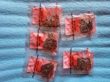 lot 5 lanturi mini drujba - de 4 inch - 14 dinti