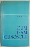 Cum i-am cunoscut &ndash; I. Peltz - Biografii, Carte beletristica