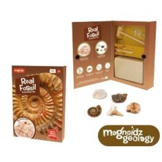 Kit paleontologie Descopera fosile, unelte pentru excavare, 25 cm, 6 ani+ foto