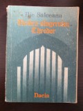 UMBRA SLUGERULUI THEODOR - Ilie Salceanu