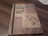 Cumpara ieftin ANATOMIA SI FIZIOLOGIA OMULUI CLASA X N.SANTA EDITURA DIDACTICA 1966