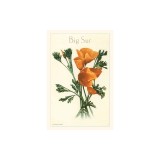 The Vintage Journal California Poppy, Big Sur