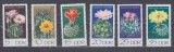 A12 S4 1 - Timbre foarte vechi - Fosta Germanie Democrata - DDR - cactusi, Germania, Flora, Nestampilat