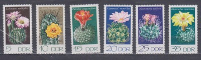 A12 S4 1 - Timbre foarte vechi - Fosta Germanie Democrata - DDR - cactusi foto