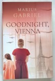 GOODNIGHT , VIENNA by MARIUS GABRIEL , 2022