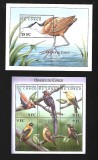 congo pasari mnh
