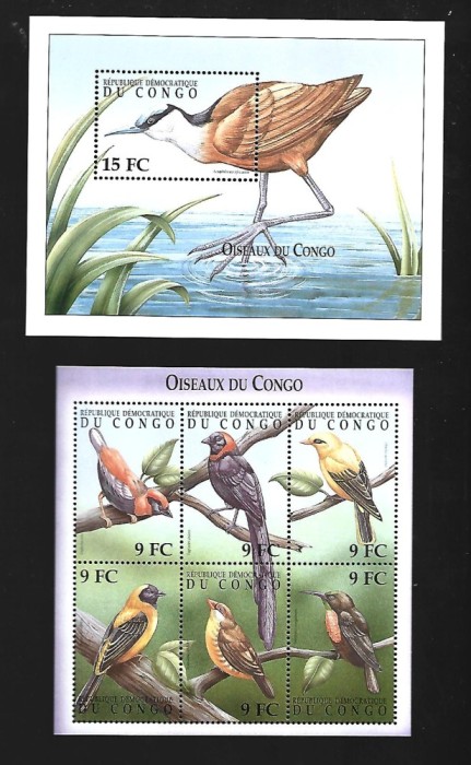 congo pasari mnh