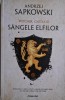 Witcher. Sangele Elfilor (Cartea III) - Andrzej Sapkowski, Carte Fantasy