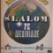 Slalom pe meridiane &ndash; Aristide Buhoiu