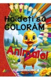 Haideti sa coloram! Animale