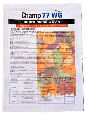 Champ 77WG 20 gr foto