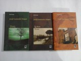 PRIN EUROPA (3 volume): Uitarea este,in fond o tradare / In drum spre Roma / Europa Phoenix - Josif Contantin DRAGAN