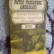 d3 Patru prozatori americani - Nathaniel Hawthorne, Mark Twain, Stephen