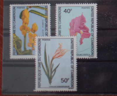 TS24/01 Timbre Camerun Nestampilat Flora foto