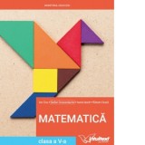 Matematica. Manual pentru clasa a V-a