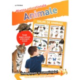 Animale. Planșe educaționale