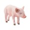 Figurina Schleich, Porc, 3.5 x 5.5cm