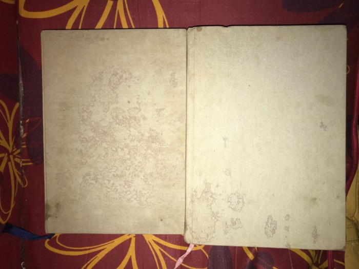 Jean Claude Barreau Dumnezeu este iubire 2 volume litografiate