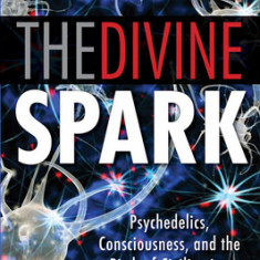 The Divine Spark: A Graham Hancock Reader: Psychedelics, Consciousness, and the Birth of Civilization