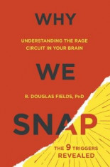 Why We Snap: Understanding the Rage Circuit in Your Brain foto