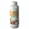 Ingrasamant foliar Energy, 1L, BIO