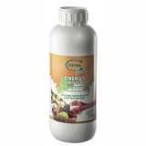 Ingrasamant foliar Energy, 1L, BIO