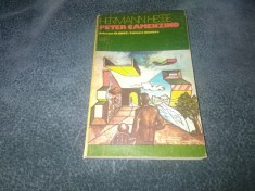 HERMAN HESSE - PETER CAMENZIND foto