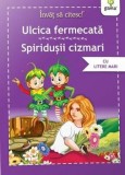 Cumpara ieftin Ulcica fermecata. Spiridusii cizmari/***, Gama