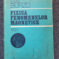 FIZICA FENOMENELOR MAGNETICE - Burzo (vol. I)