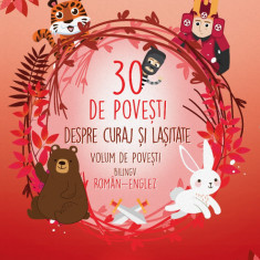 30 de povești despre curaj și lașitate