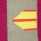 C1 32 - Grade militare - straine - piesa de colectie!