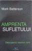 Amprenta sufletului. Descopera-ti destinul divin - Mark Batterson