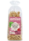 Penne Orez Integral Bio Amisa 500g Fara Gluten Vegan
