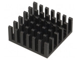 Radiator Aluminiu Negru 23x23x10 mm