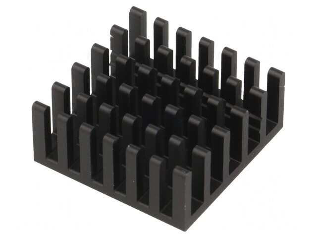 Radiator Aluminiu Negru 23x23x10 mm