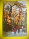 HOPCT 5669 PE DRUMUL SPRE TEMPLUL LING YIN /LACUL DE VEST -CHINA -ASIA-NECIRCULATA, Printata
