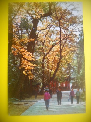HOPCT 5669 PE DRUMUL SPRE TEMPLUL LING YIN /LACUL DE VEST -CHINA -ASIA-NECIRCULATA foto