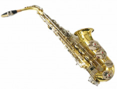 Saxofon Alto Cherrystone AURIU ARGINTIU foto