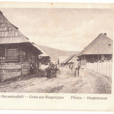 1927 - RUSPOLYANA, Poienile de sub Munte, Maramures - old postcard - unused