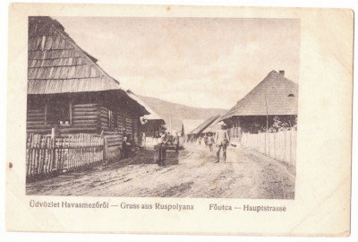 1927 - RUSPOLYANA, Poienile de sub Munte, Maramures - old postcard - unused foto