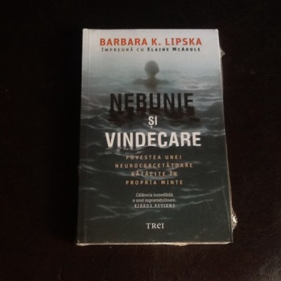 Nebunie si vindecare - Barbara K. Lipska foto
