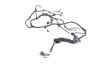 Cablaj ușă dreapta față TESLA MODEL X 2017 OEM: 1032432-00-G 14881518